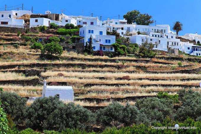 Sifnos, campos y casas en espaldera, Kato Petali - Grecia