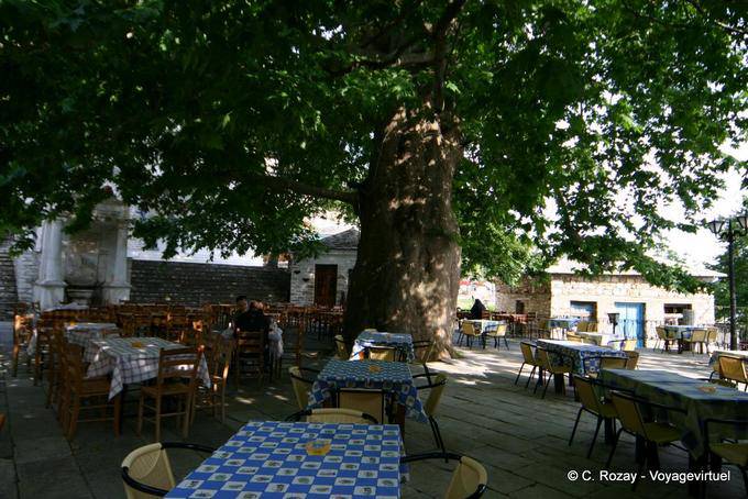 Terraza bajo un árbol gigante, Pinakates, Pelión - Grecia