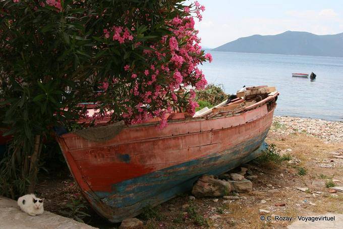 El gato y el viejo barco, Trikeri, Agia Kyriaki - Grecia