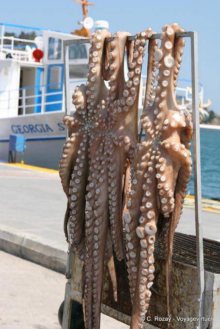 Sequedad del pulpo en el puerto, Poros - Grecia