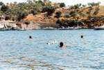 Natación detrás de los patos, Sampatiki, Grecia.