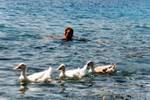 Es el baile del pollo a Sampatiki, Grecia.