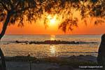 Milos, Pollonia, puesta del sol en un tamarisco, Grecia.