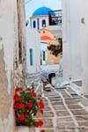 Serifos, Hora, calle pintura, Grecia.