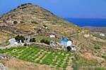 Serifos, Sikamia, viñedos y colinas, Grecia.