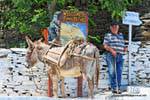 Sifnos, Pano Petali, el hombre y su asno, Grecia.