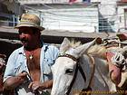 Mule, Hydra, Grecia.