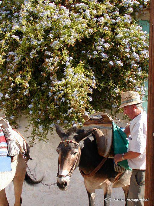 Bate Ane, Hydra - Grecia