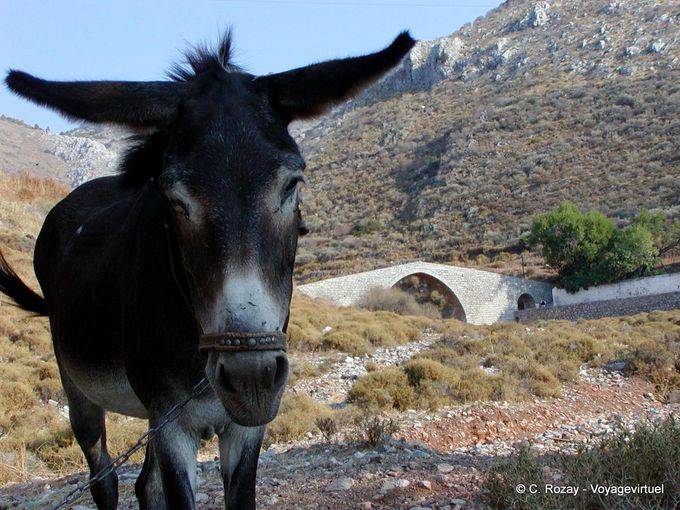 Puente Ane, Hydra - Grecia