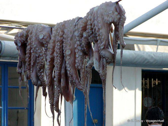Pulpo de sequía, Spetses - Grecia