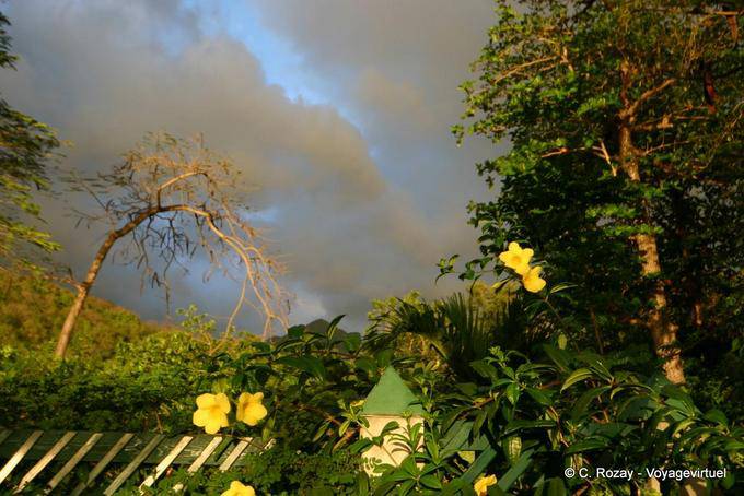Las nubes, flores y luz de la tarde, a Pointe-Noire - Guadalupe