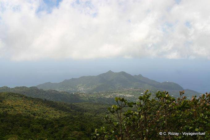 Otro punto de vista hacia las alturas de Saint-Claude de la Soufrière - Guadalupe