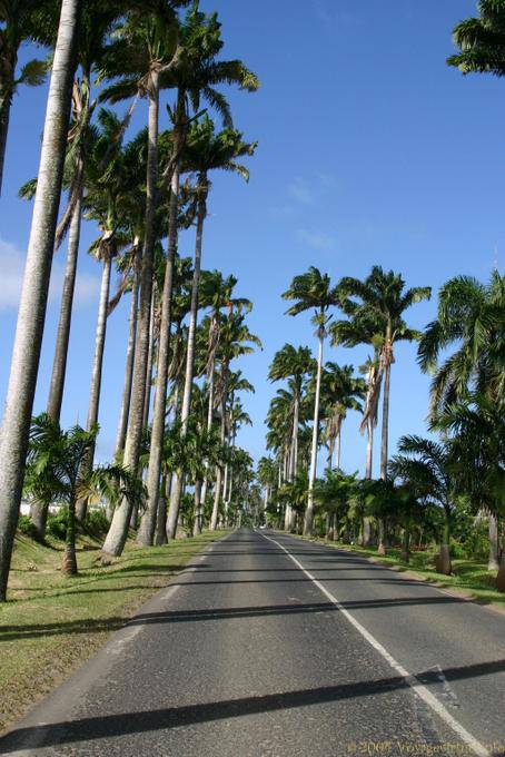 Calzada Dumanoir, Capesterre Belle-agua - Guadalupe
