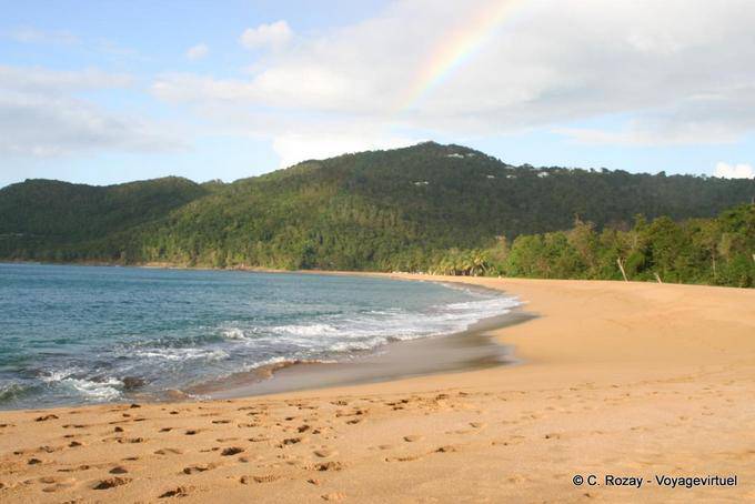 Vista panorámica de la playa de Grand Anse, Deshaies - Guadalupe