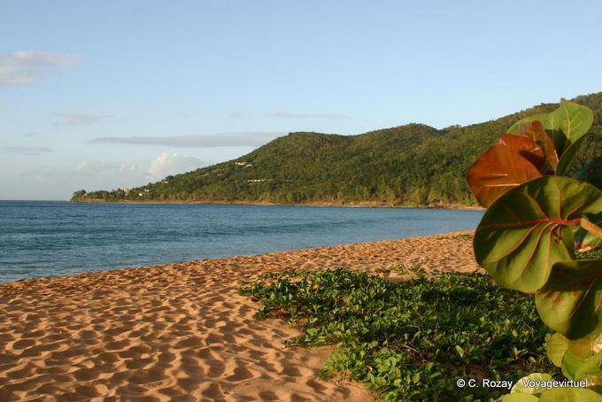 Ondulaciones de la arena, playa de Grande Anse, Deshaies - Guadalupe