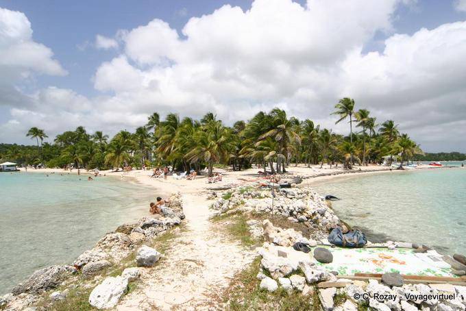 Presa entre el mango y Bourdel Accul cala, el Caravelle Beach, Sainte-Anne - Guadalupe