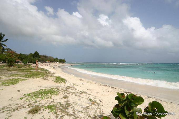 En la playa, entre Santa Ana y San-François - Guadalupe