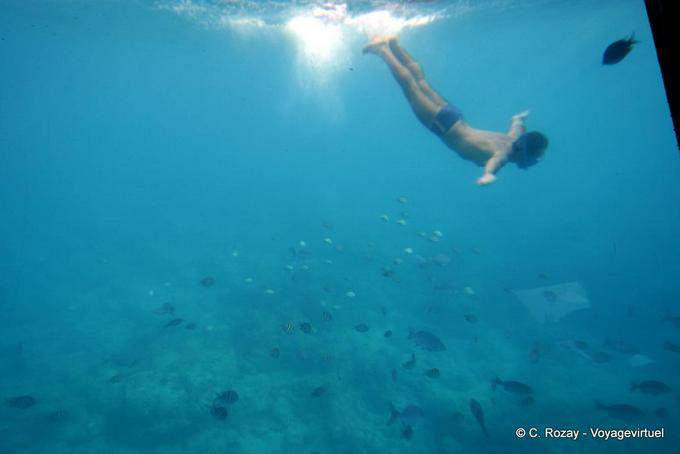 Diver y snorkeling, Pigeon Îlets - Guadalupe