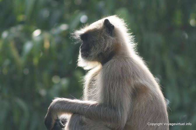 Chittorgarh - India