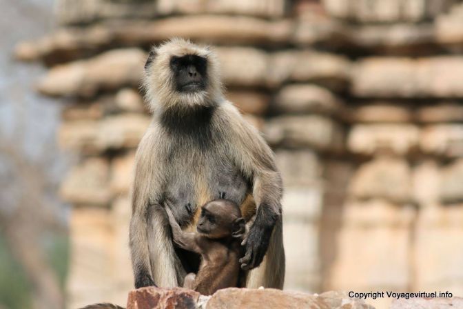 Chittorgarh - India