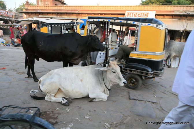 Jodhpur Old City Sardar Bazar - India