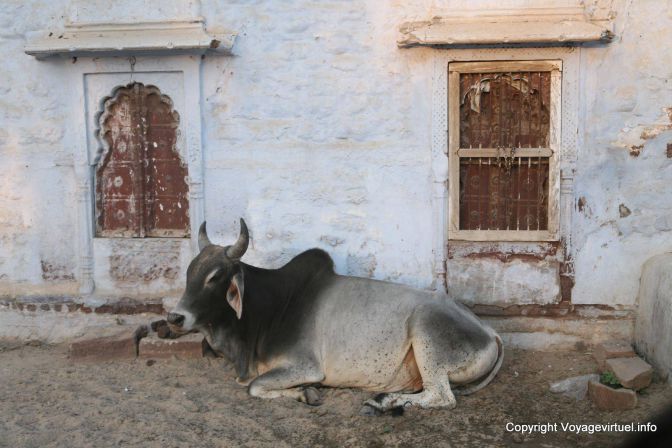 Luni In The City - India