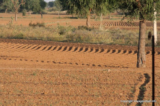 Route Delhi A Singhara Terre Labouree - India