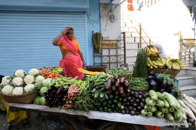 Udaipur - India