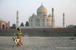 Agra-taj-mahal-sunset-bergere--a-la-chevre-2