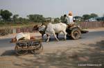 Bundi.