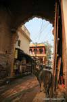 Bundi.