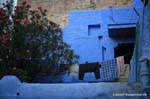 Jodhpur old city blue.