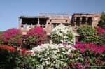 Luni chawna fort.