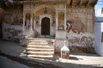Mandawa visite des havelis.