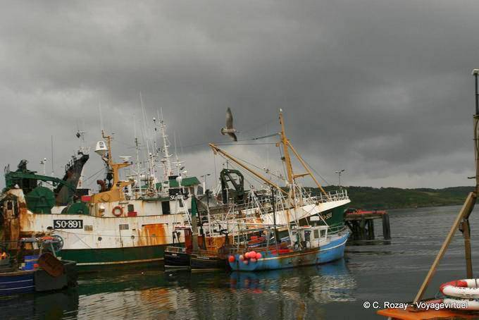 Barcos de pesca en el puerto de Killybegs, Donegal - Irlanda