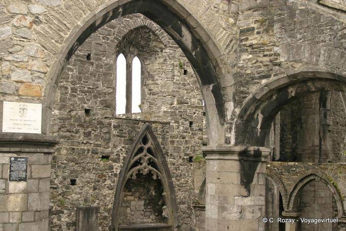 Gothic Abbey Sligo, - Irlanda