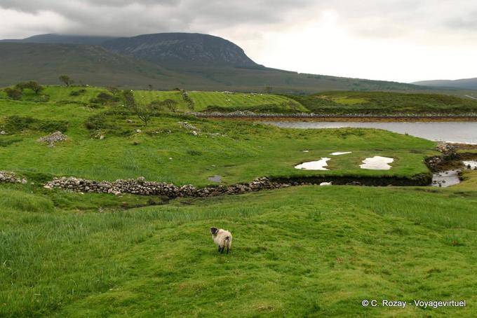 Paisaje en el camino a Mulranny, Mayo - Irlanda