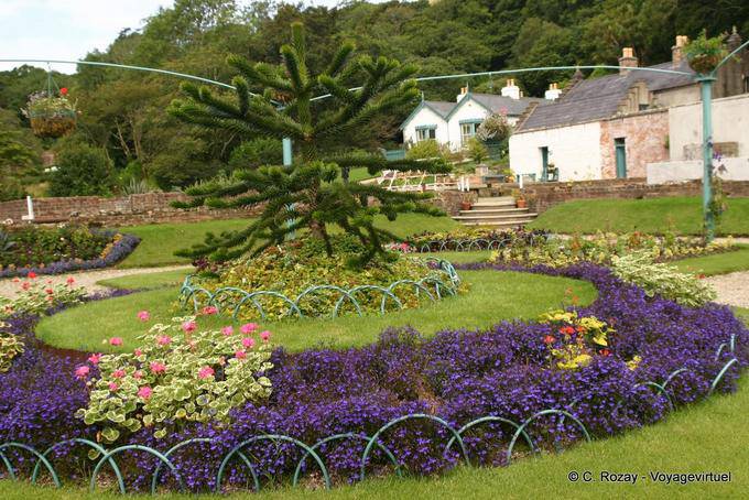 Parterre y Araucaria en el jardín victoriano, la Abadía de Kylemore Connemara - Irlanda