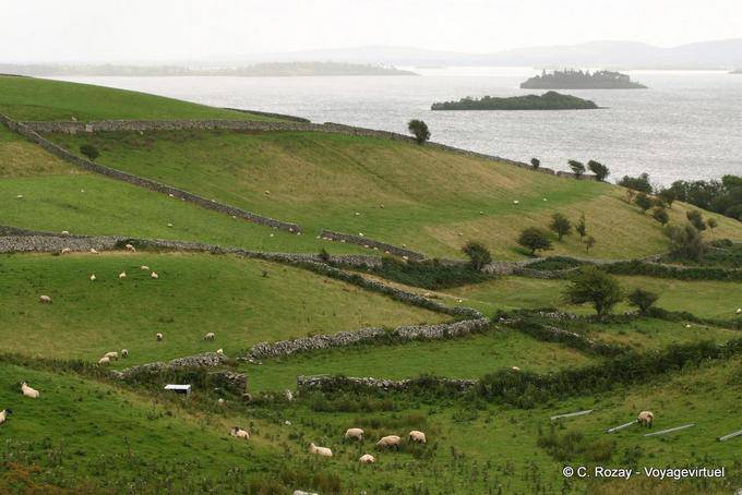 Islas del lago Corrib a Cornamona, Connemara - Irlanda