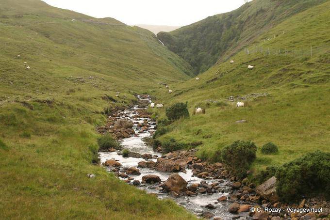 Torrent en un mini valle, Connemara - Irlanda
