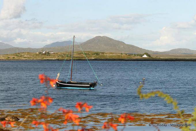 Hooker esperando Regatta, Roundstone, Connemara Galway - Irlanda