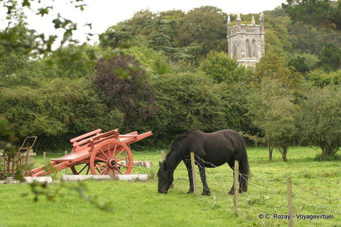 Caballos pastando, Walled Garden, Bunratty Folk Park - Irlanda
