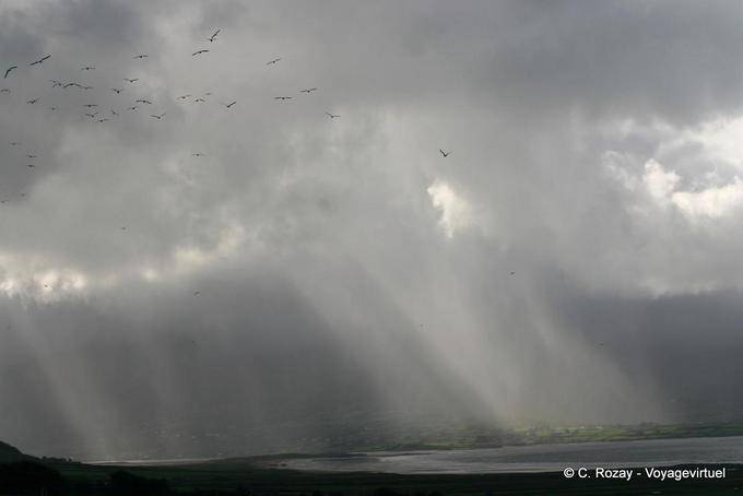 La lluvia y las aves, Lough Gill, Dingle - Irlanda