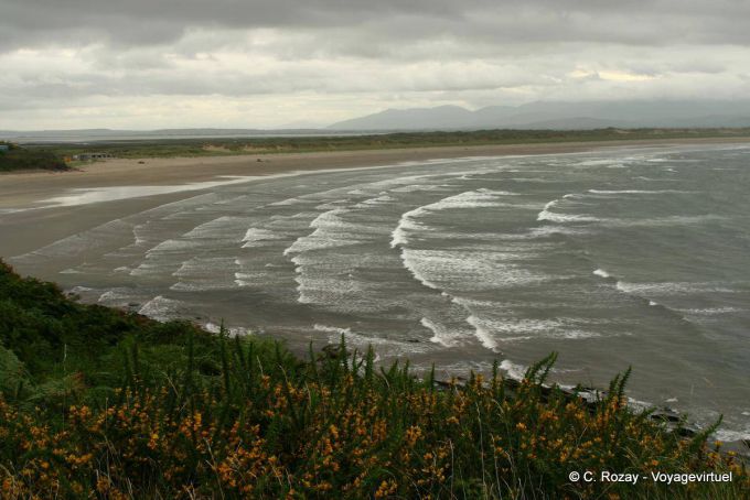 Las olas en la playa de Inch, Dingle - Irlanda