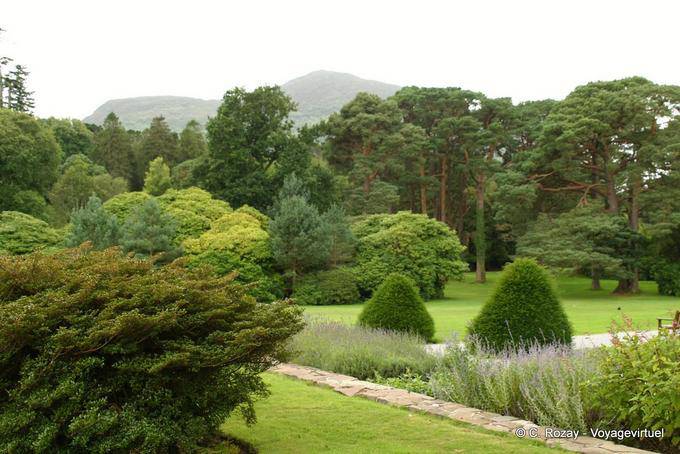 Los árboles en el jardín botánico, Muckross House, Killaney - Irlanda