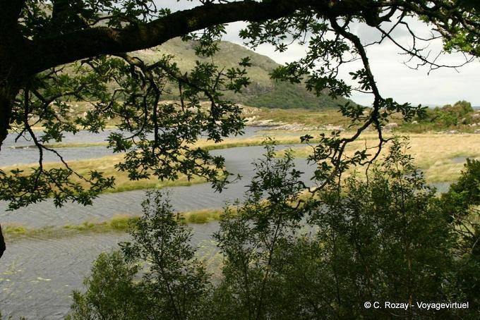 En la orilla de Lough Doo, el Parque Nacional de Killarney - Irlanda
