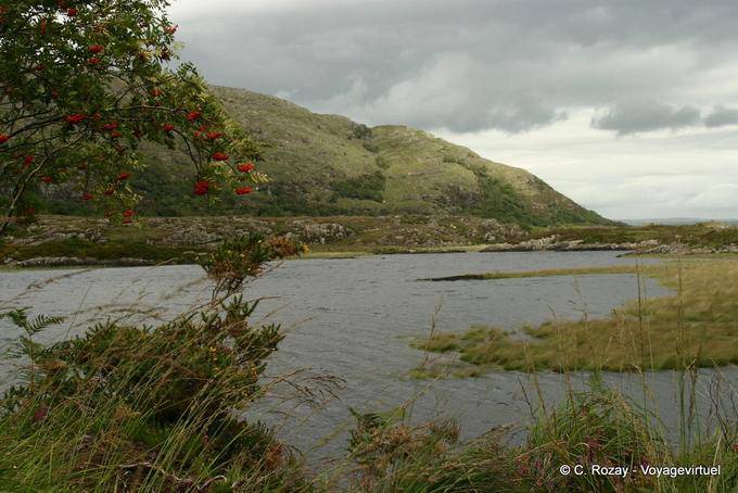 Hacia Isla Brickeen, el Parque Nacional de Killarney - Irlanda