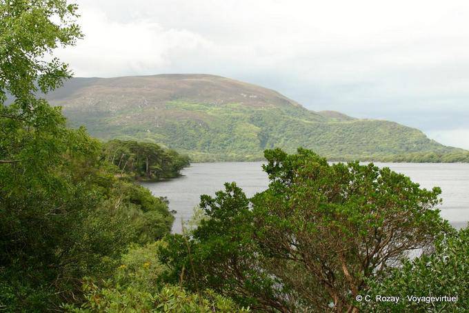 La vegetación en las orillas del lago Leane, Killarney - Irlanda