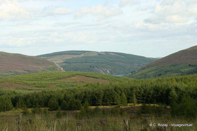 Bosque que rodea el lago Luggala, montañas de Wicklow - Irlanda