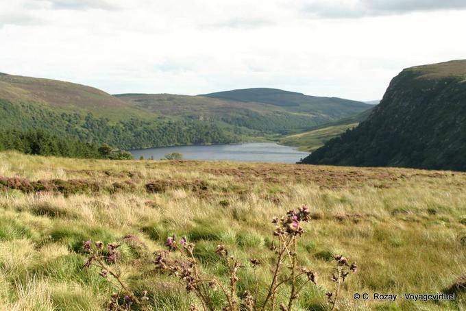 Paisaje alrededor de Lago Luggala - Irlanda
